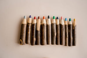 Tree Colouring Pencil Set