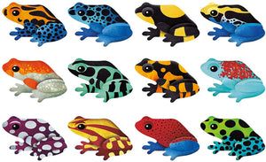 Shaped Memory Match Game | Frogs