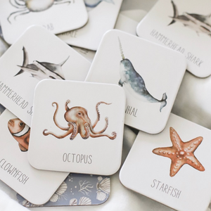 Ocean Memory Card Game