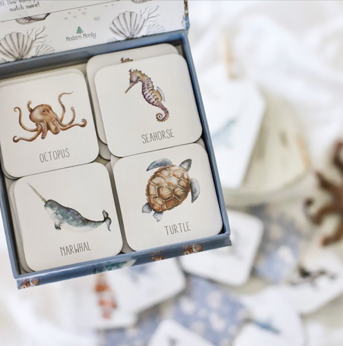 Ocean Memory Card Game