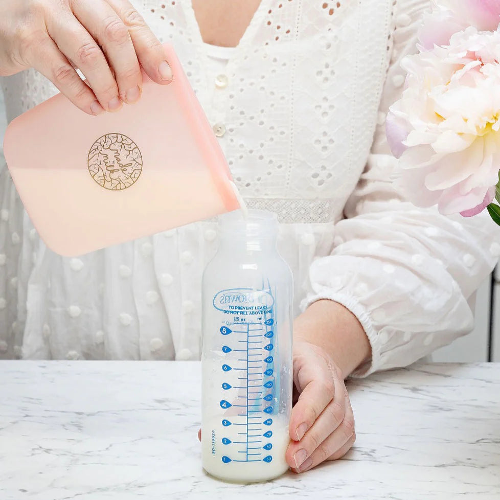 Reuseable Breastmilk Storage Bags - 2PK