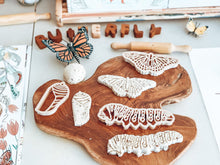 Load image into Gallery viewer, Butterly Life Cycle Eco Cutter Set