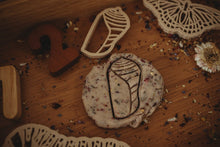 Load image into Gallery viewer, Butterly Life Cycle Eco Cutter Set